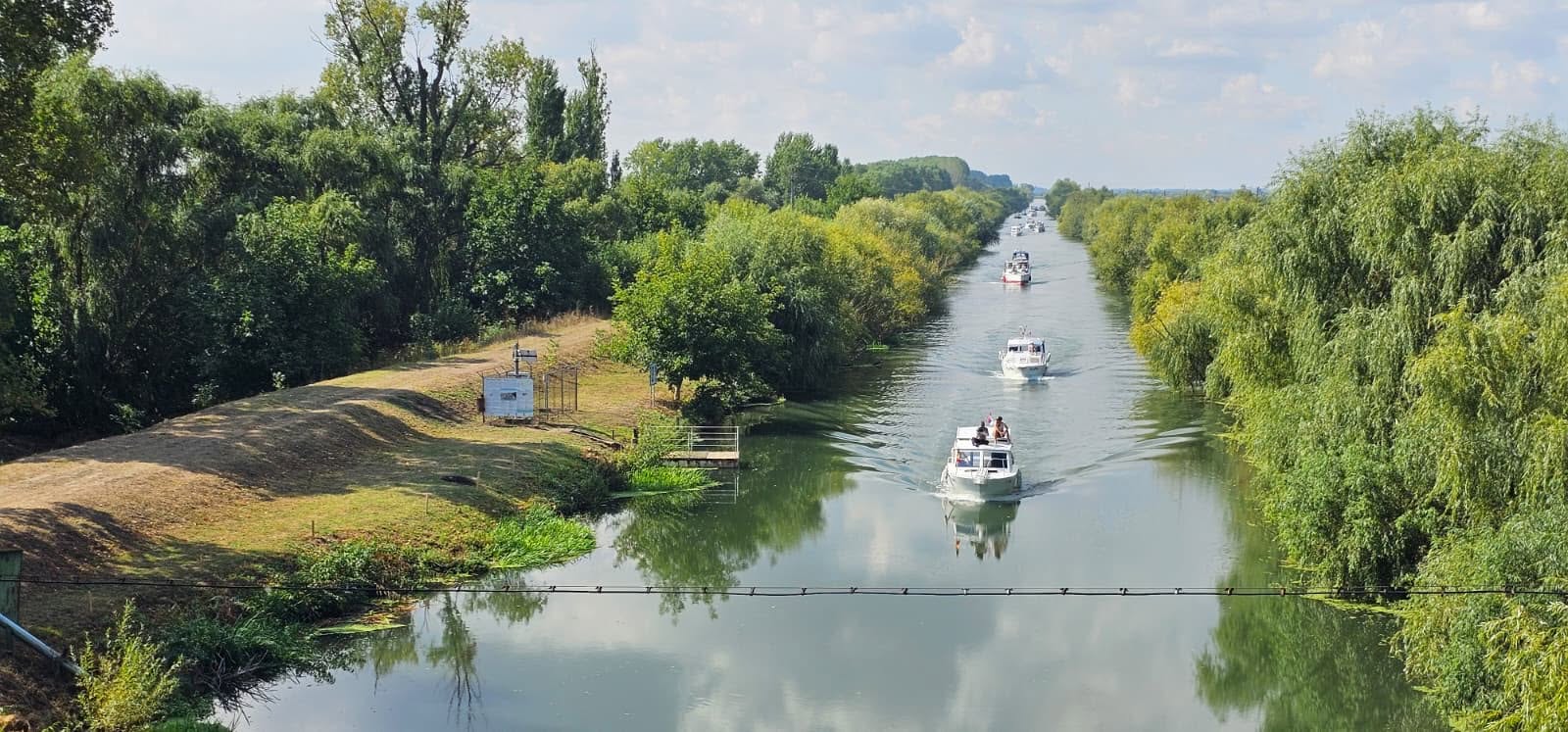 Regata Bega